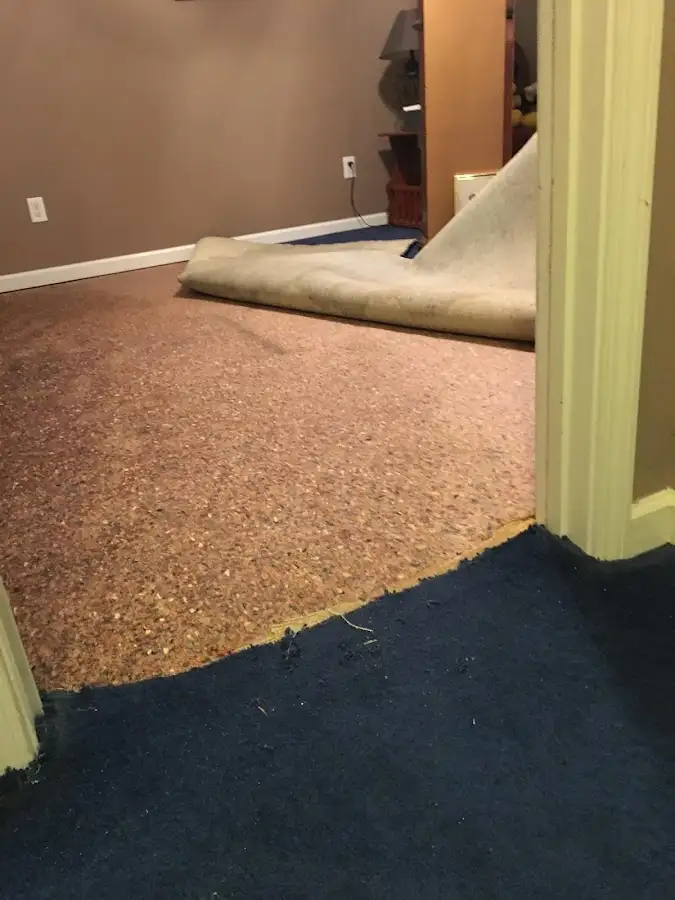 Carpet pad removal revealing water damage during Drying & Dehumidification in Everett